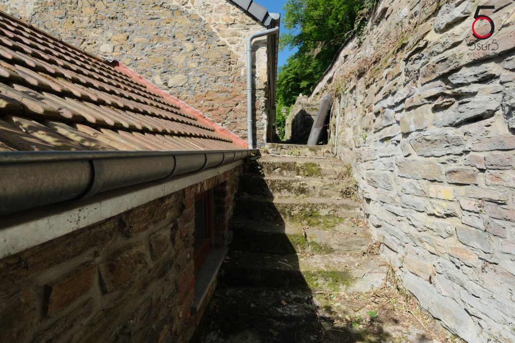 7708479_77847144.jpg