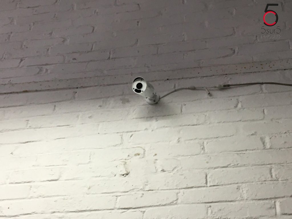 7743202_78442736.jpg