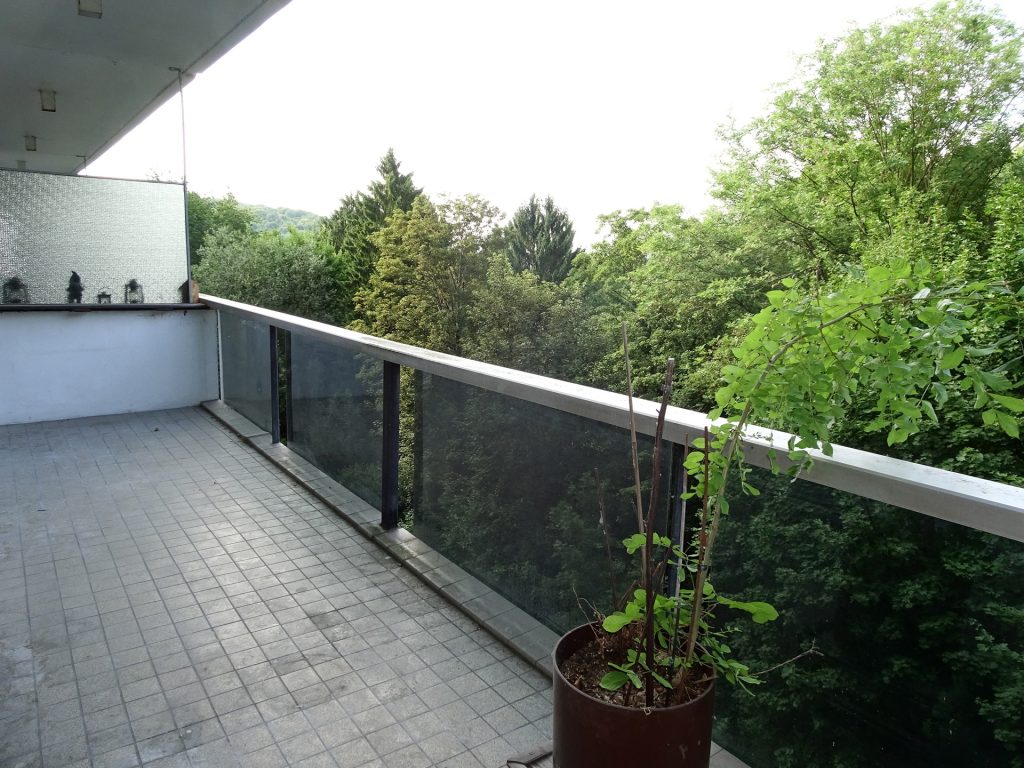 6031397_50644283.jpg