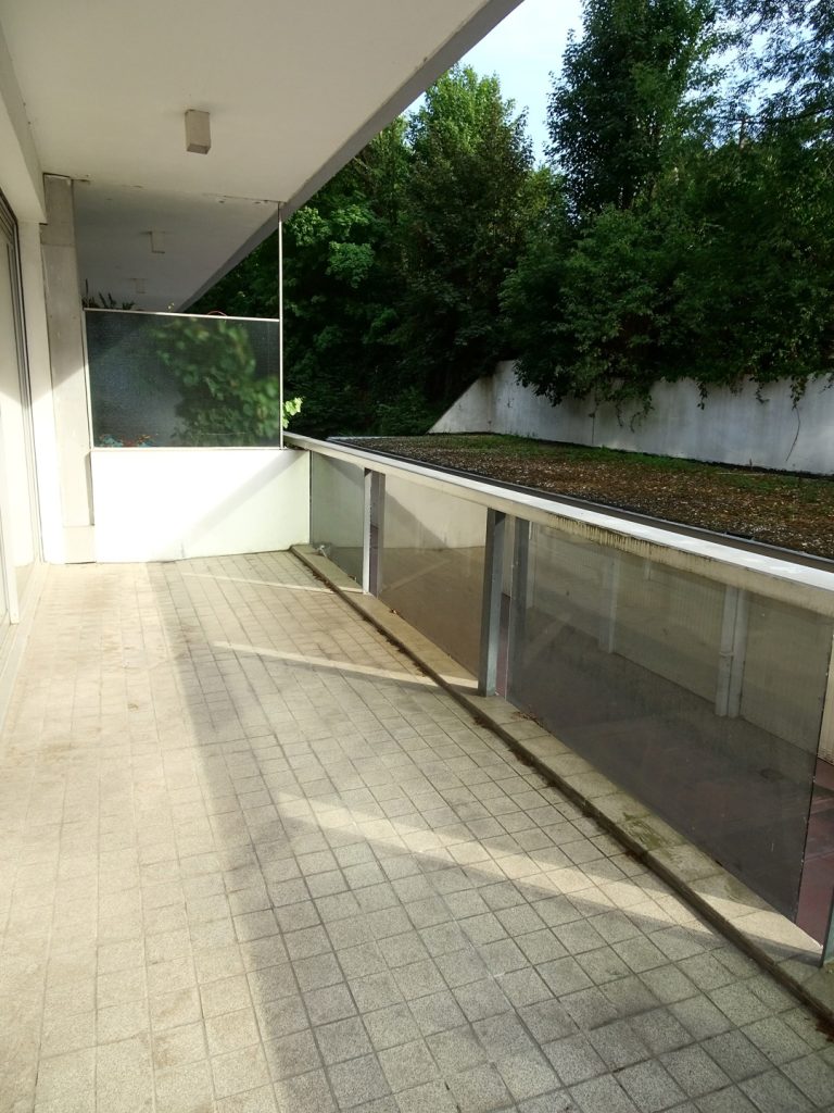 6031397_50644285.jpg
