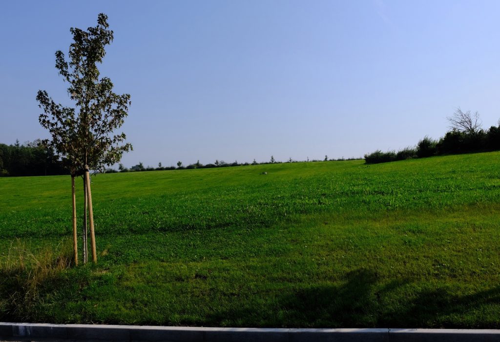 6547779_62466775.jpg
