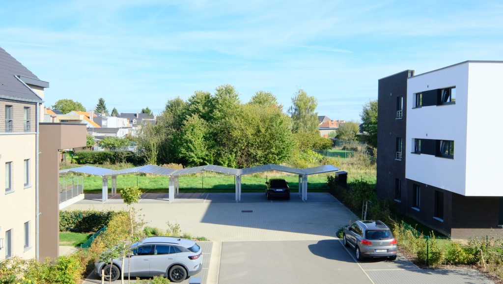 7908468_81242206.jpg