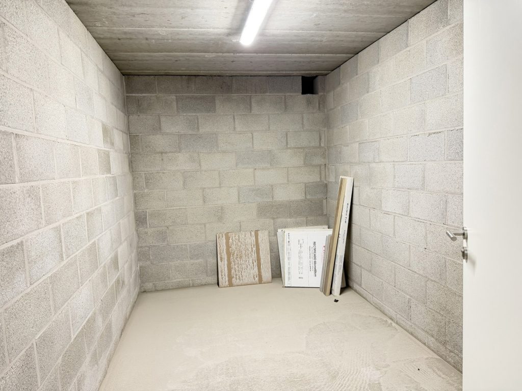 7908468_81242211.jpg